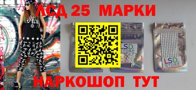 гашик Можга