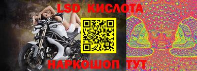 гашик Можга