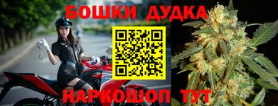 гашик Можга