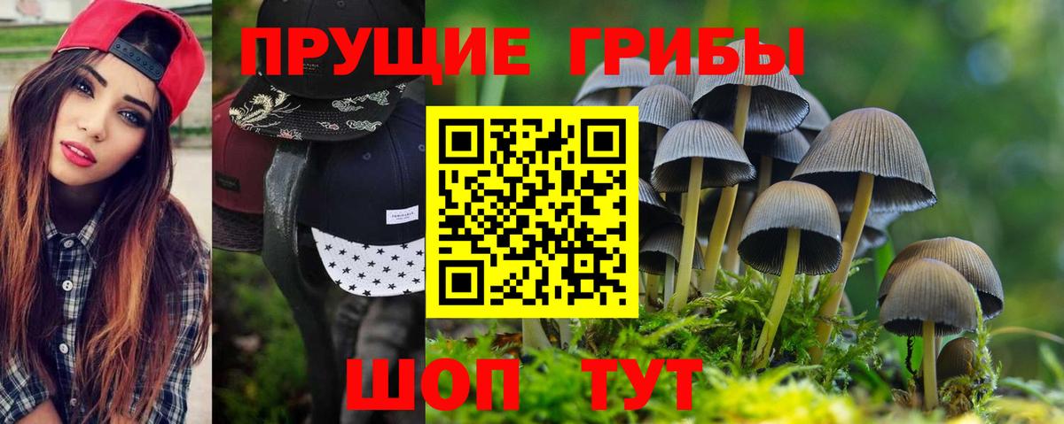 Псилоцибиновые грибы GOLDEN TEACHER  Вход с VPN  Богданович 